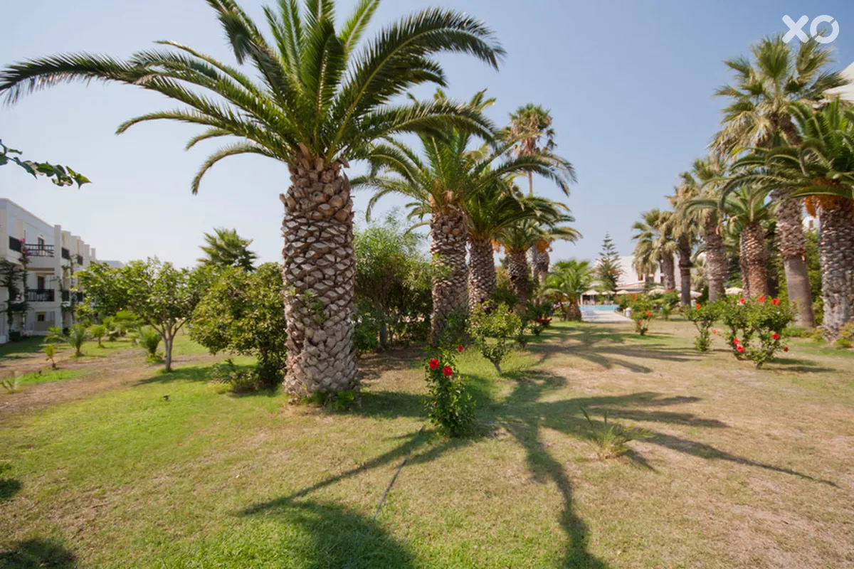 Tigaki Beach