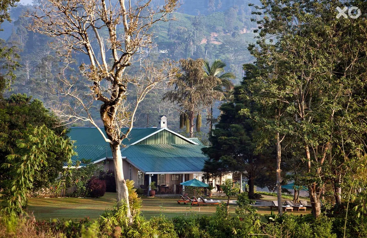 Ceylon Tea Trails