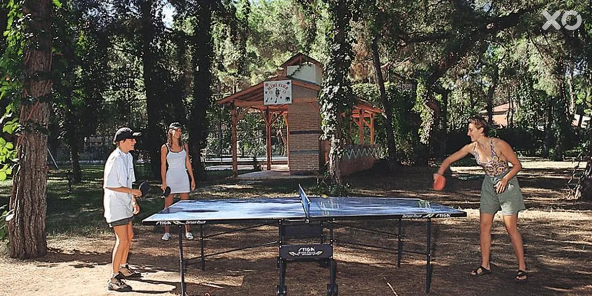 Festival Nature Hotel