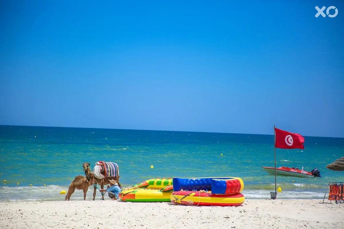 Palm Beach Skanes