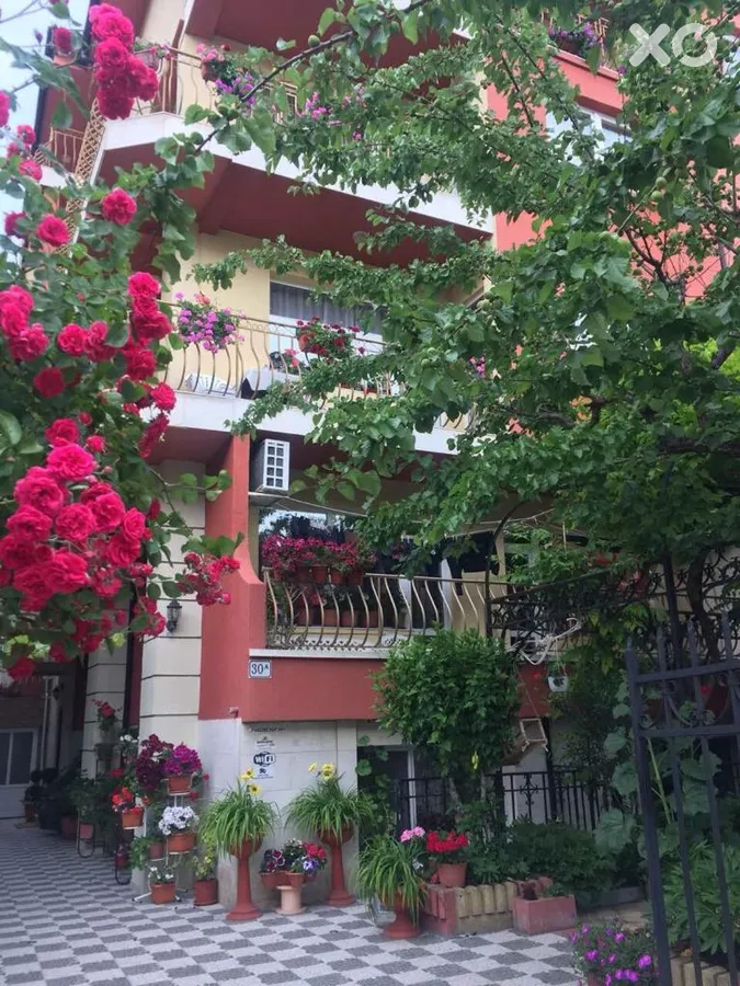 Violeta 7 Villa