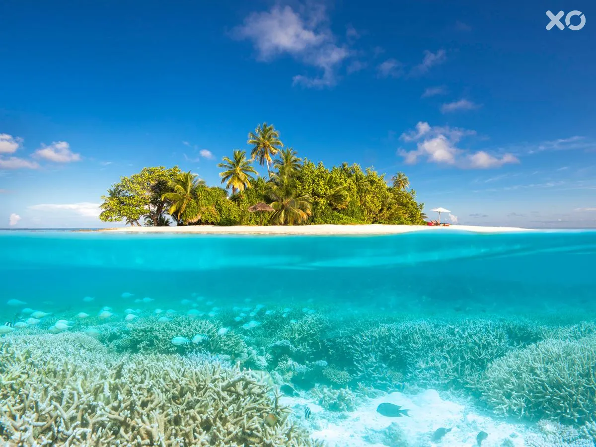 W Maldives