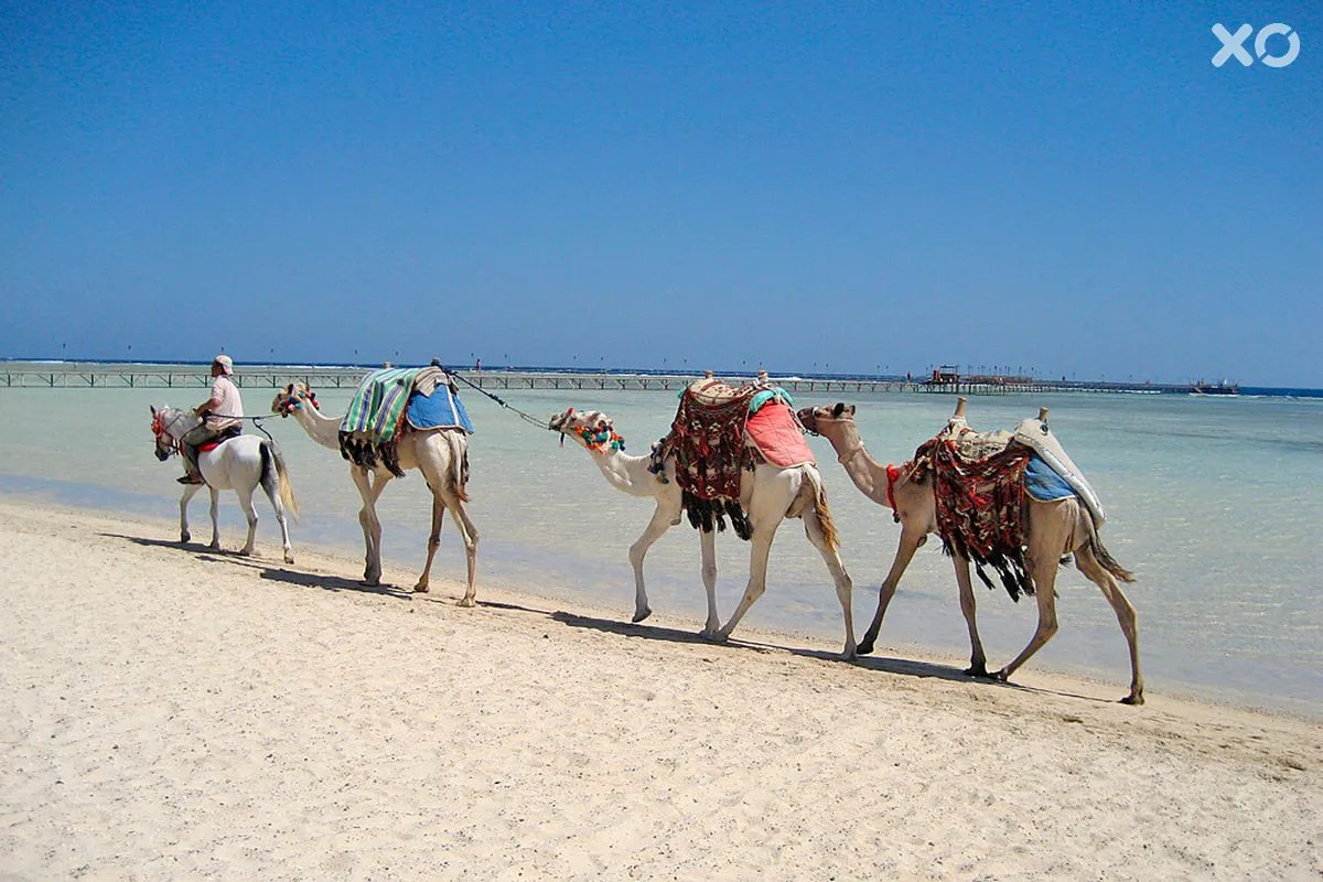 Protels Crystal Beach Resort