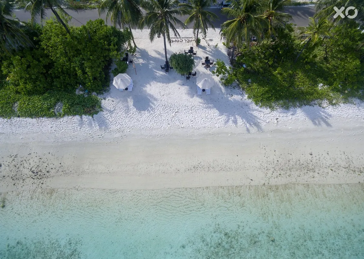 White Harp Beach