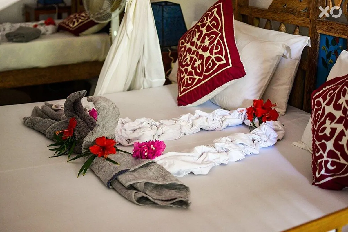 Sharazad Oasis
