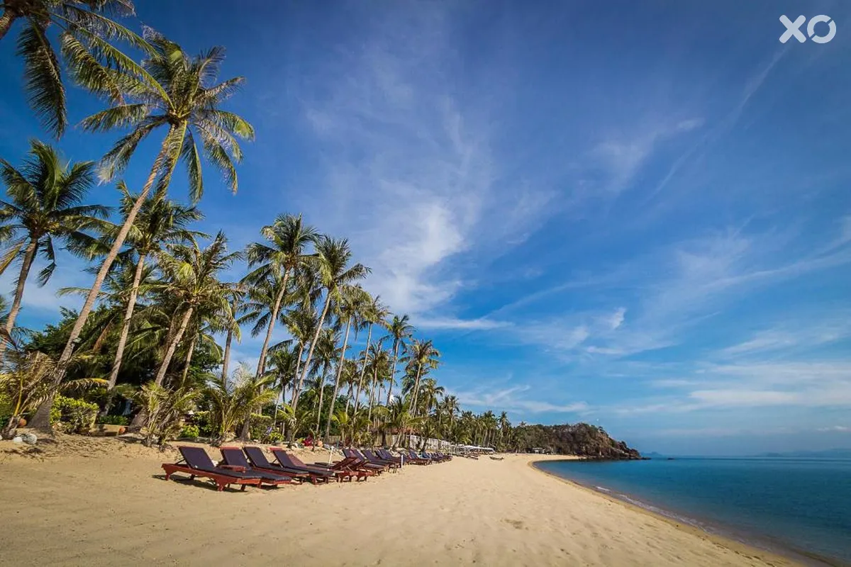 Coco Palm Beach Resort