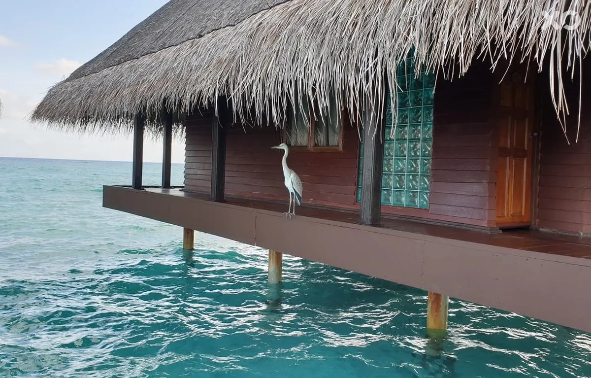 Adaaran Club Rannalhi