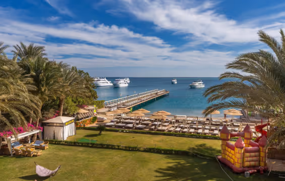 Почувствуй атмосферу Хургады вместе с Elysees Hurghada 🐚