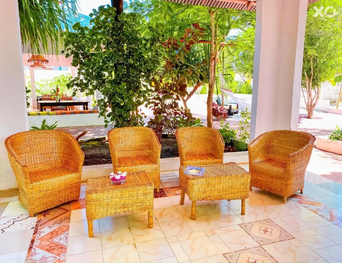 Papaya Guest House