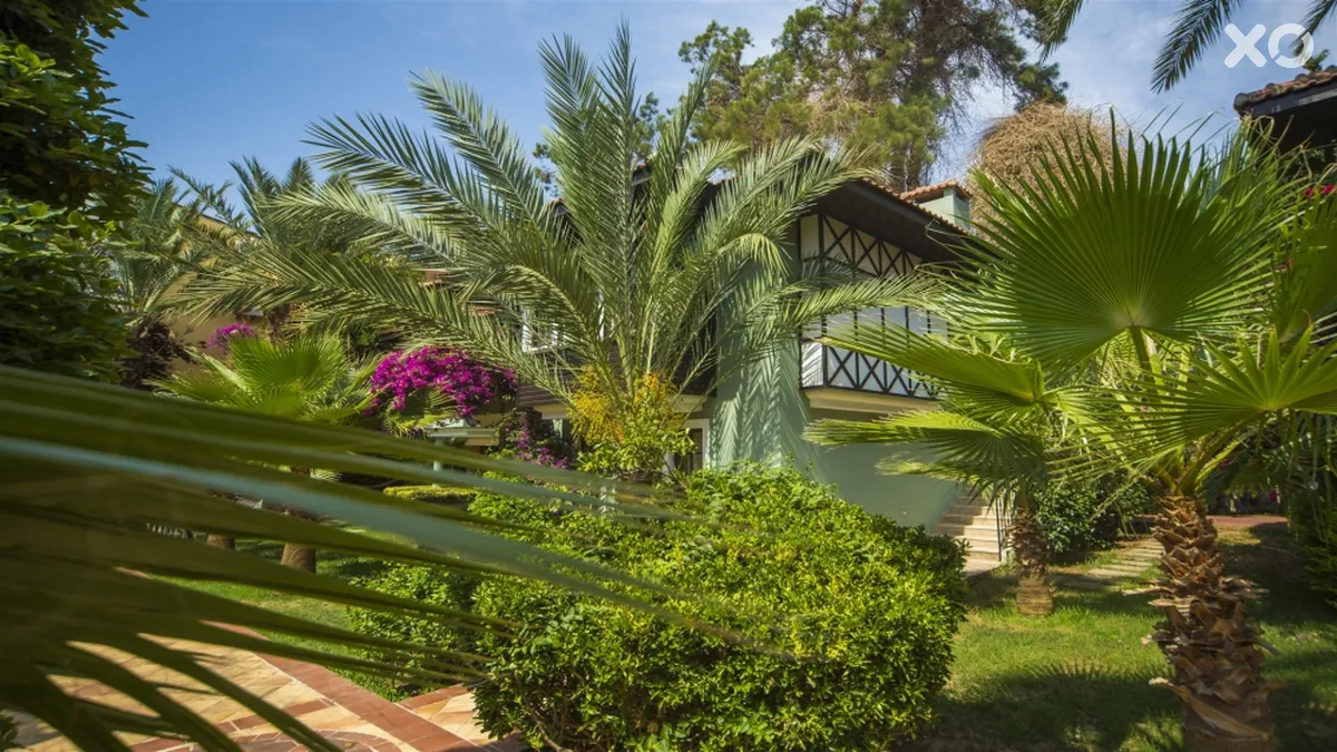 Dizalya Club Hotel
