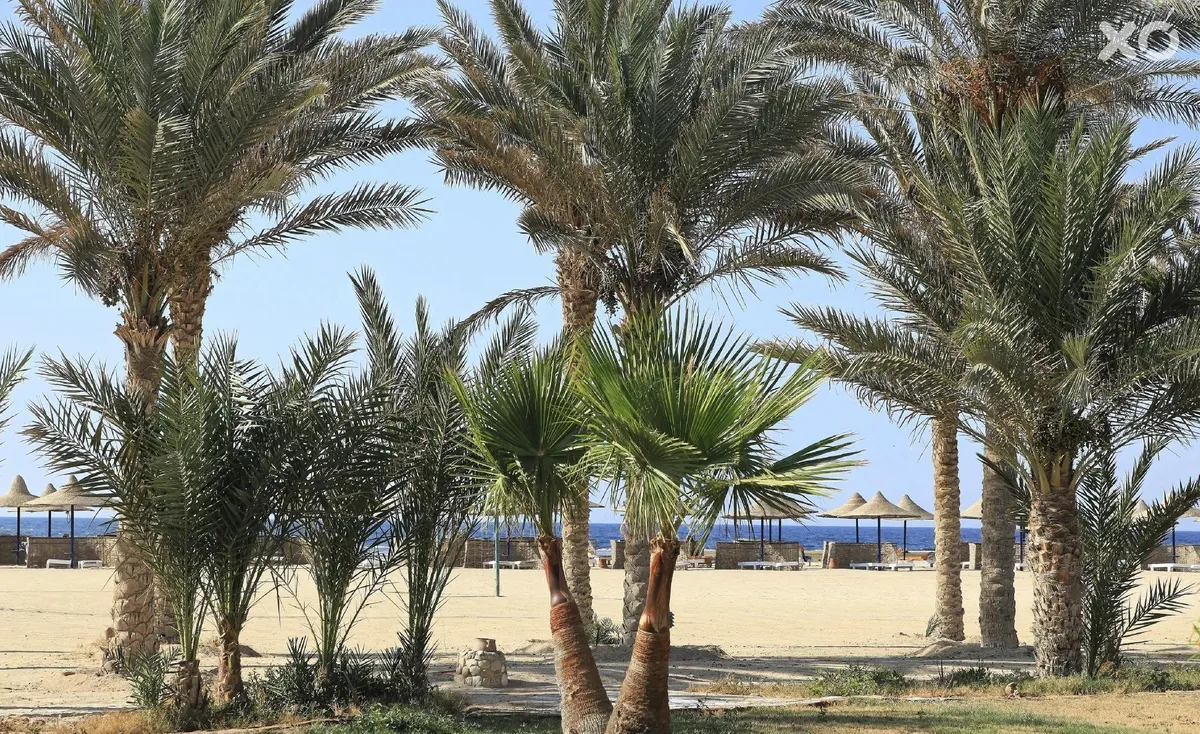 Pensee Beach Resort Marsa Alam operated by The Three Corners Hotels & Resorts