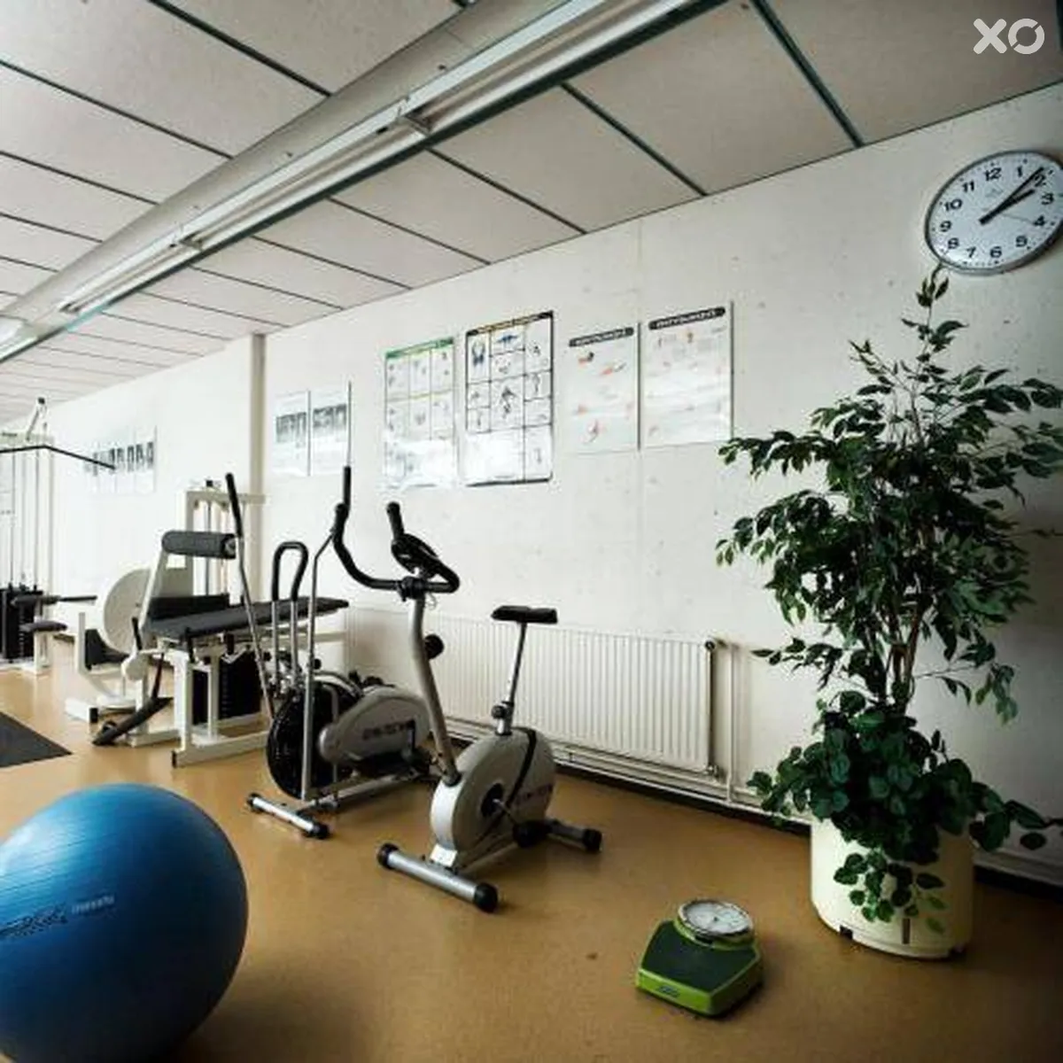 Conference Hotel Rantapuisto Oy