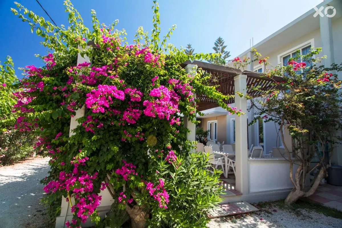 Peli Hotel