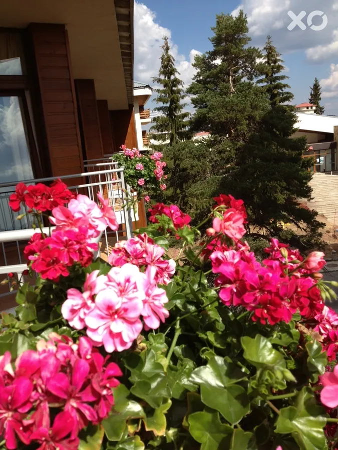 Dafovska Hotel