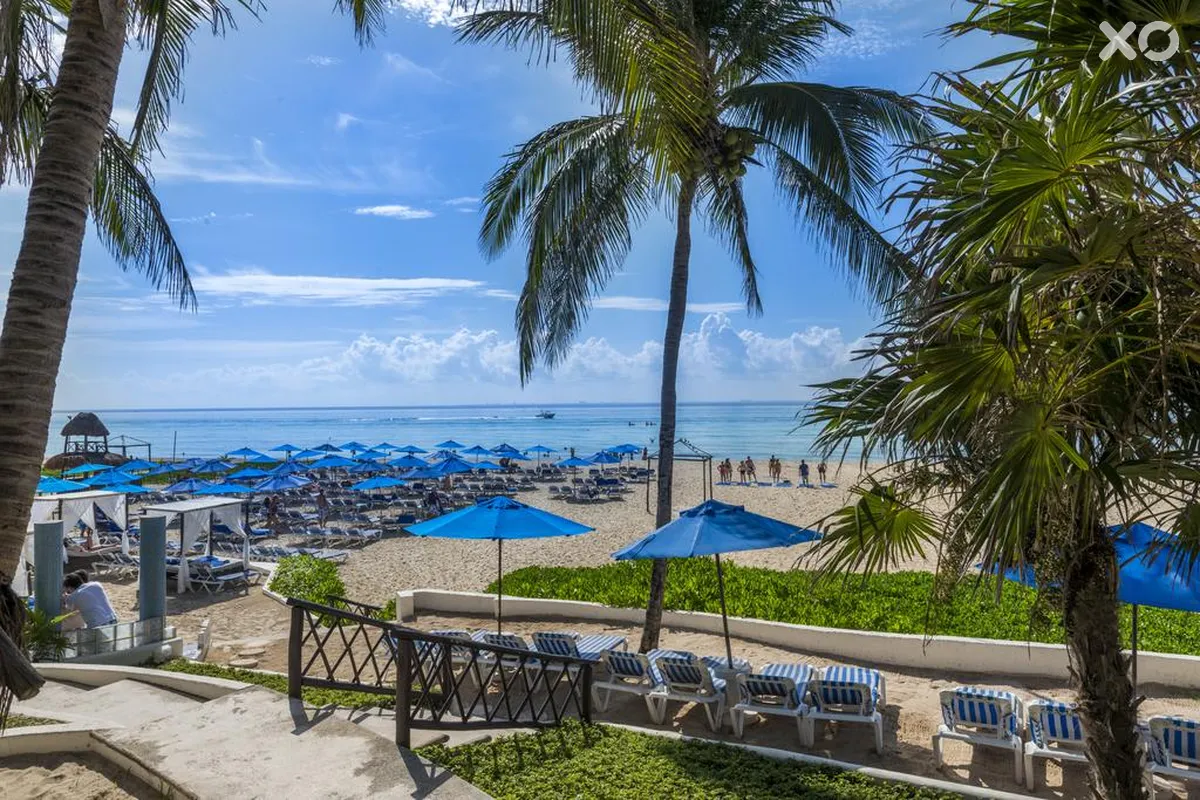The Reef Playacar