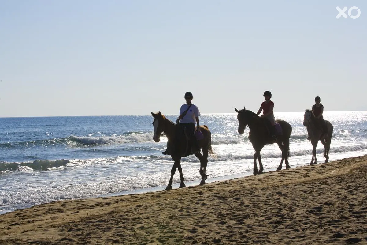 Pilot Beach Resort