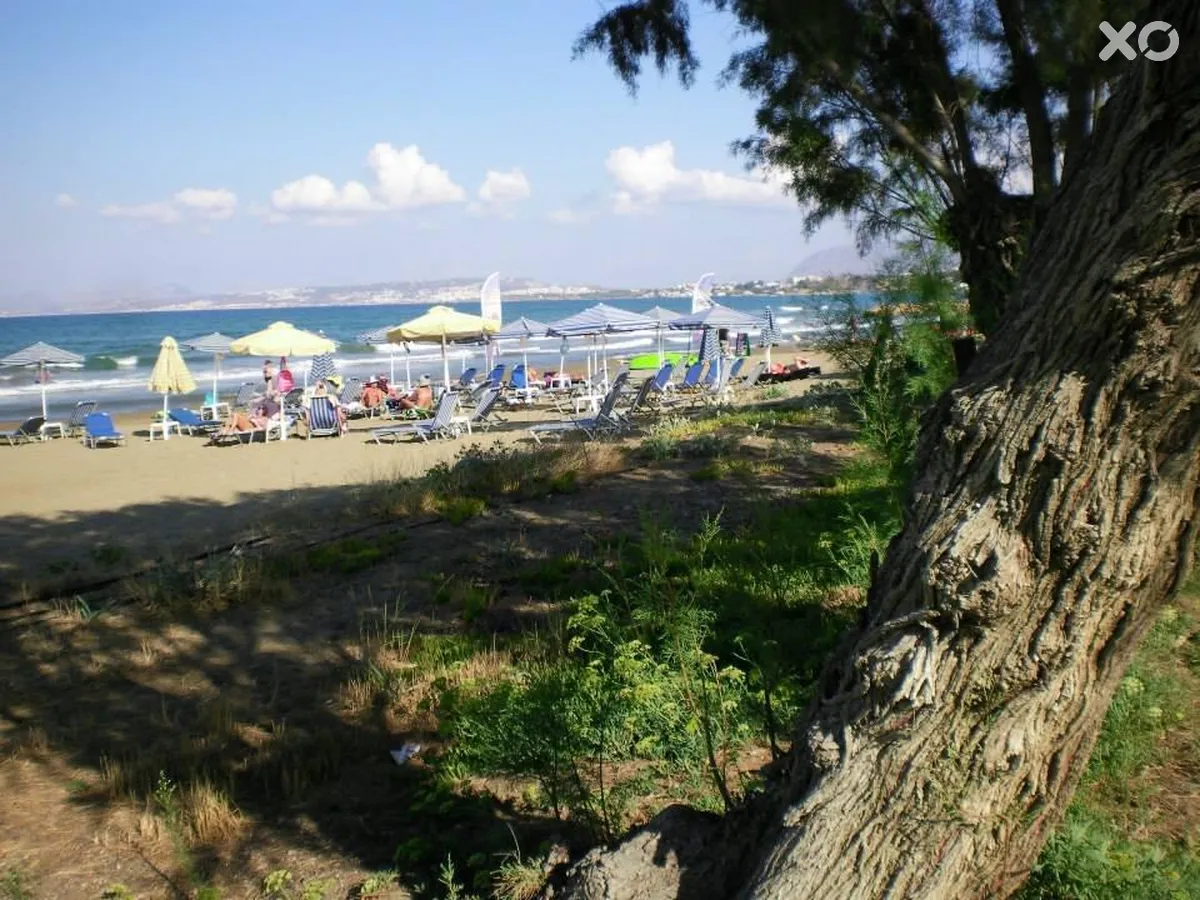 Aparthotel Thodorou