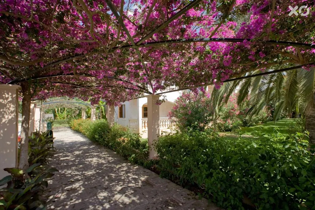 Ferrer Lime Isabel Aparthotel