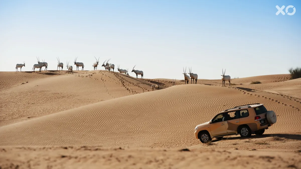 Al Maha A Luxury Collection Desert Resort & Spa
