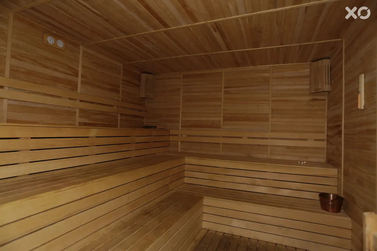 Alenz Suite