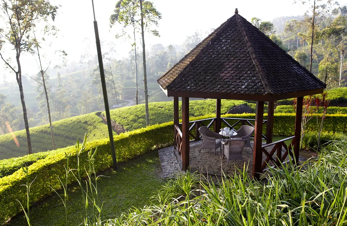 Ceylon Tea Trails