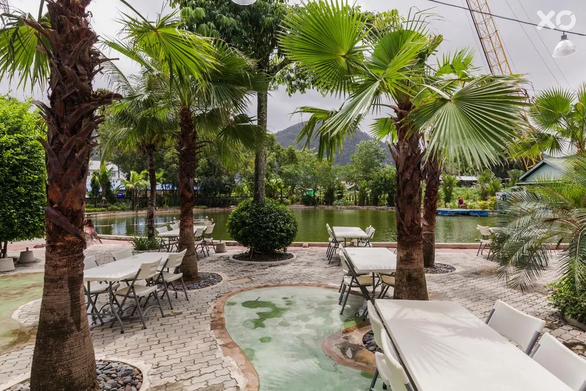 Naina Resort & Spa
