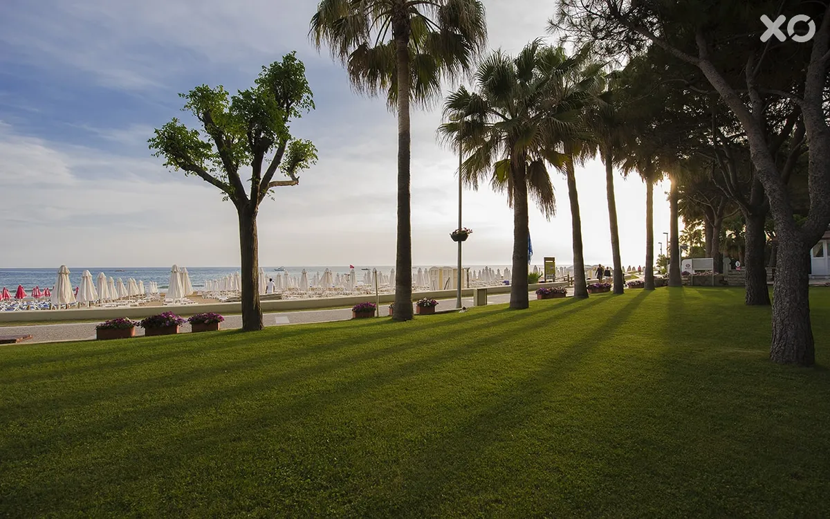 Barut Hemera