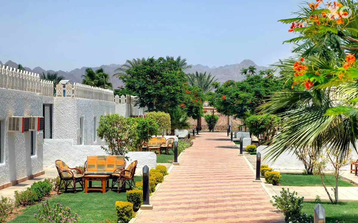Albatros Sharm Resort