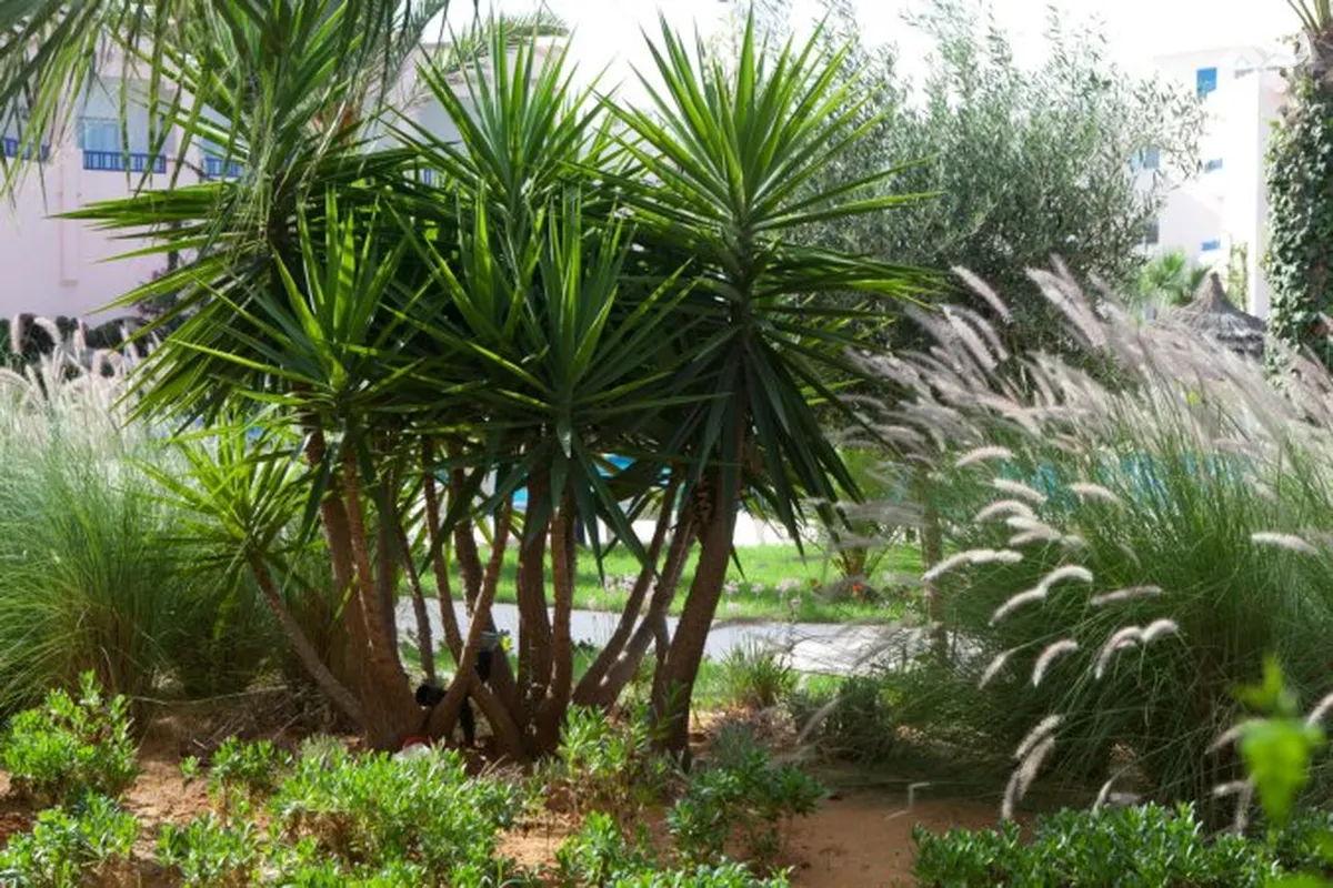 Eden Yasmine Hotel & Spa