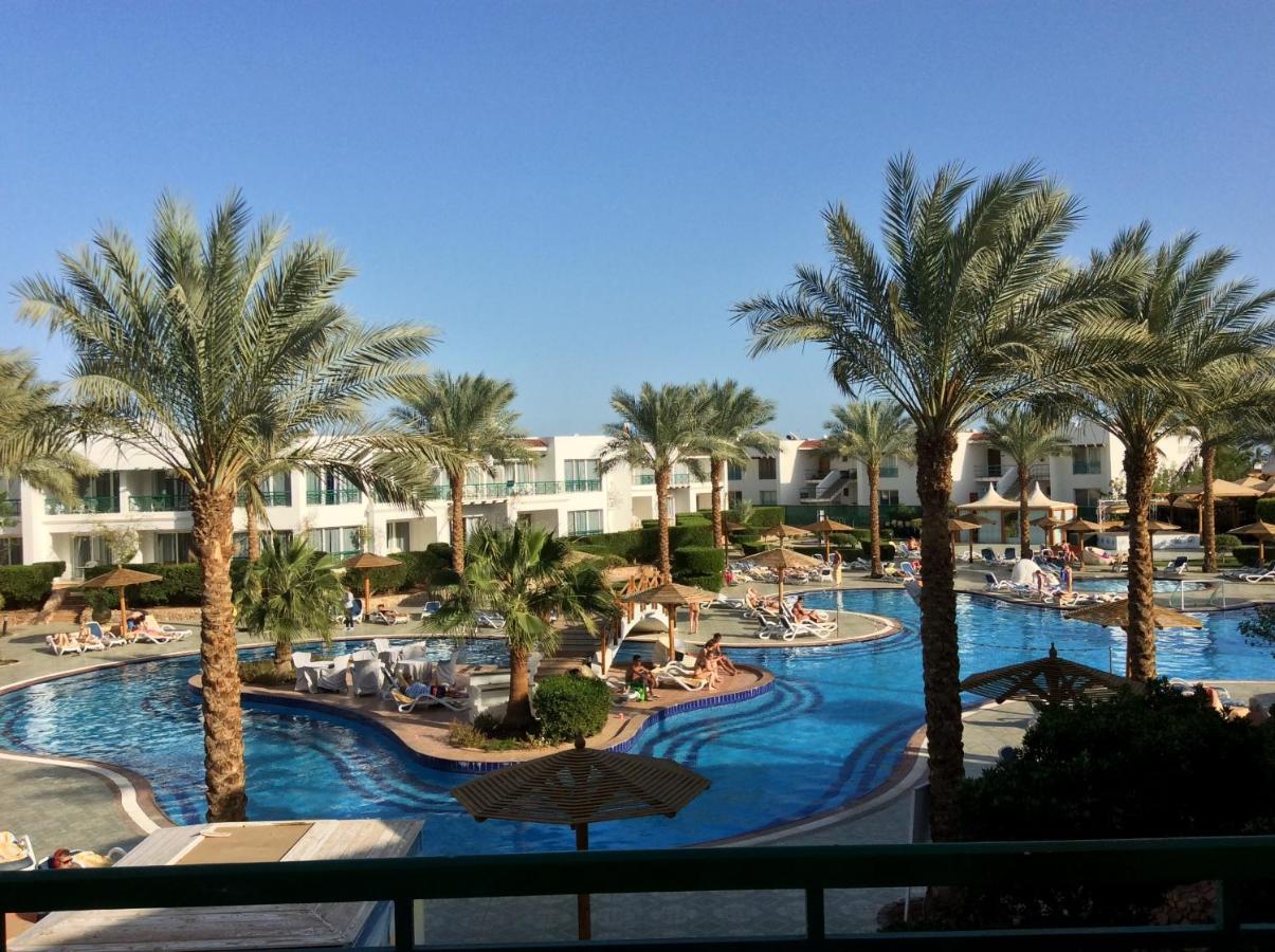 Panorama Naama Heights