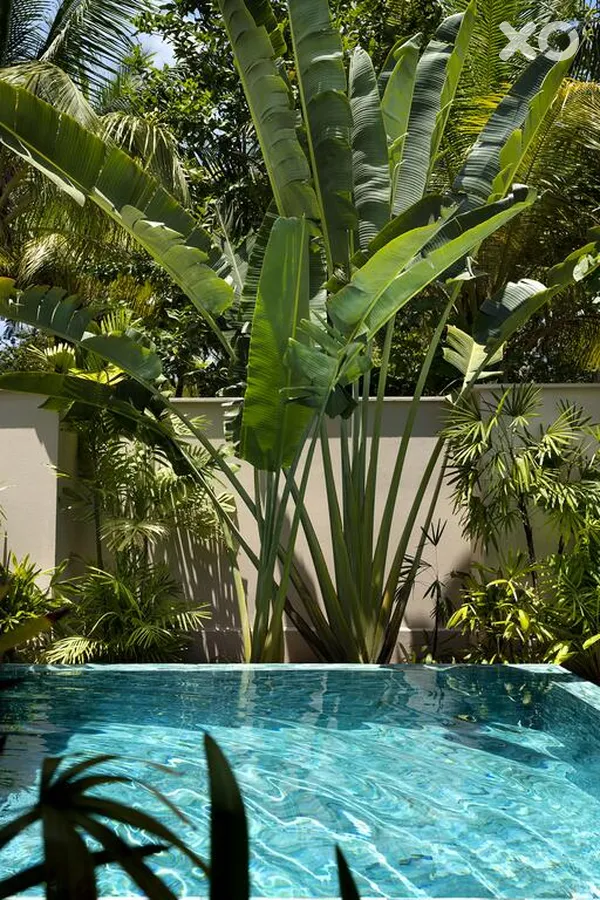 Huvafen Fushi