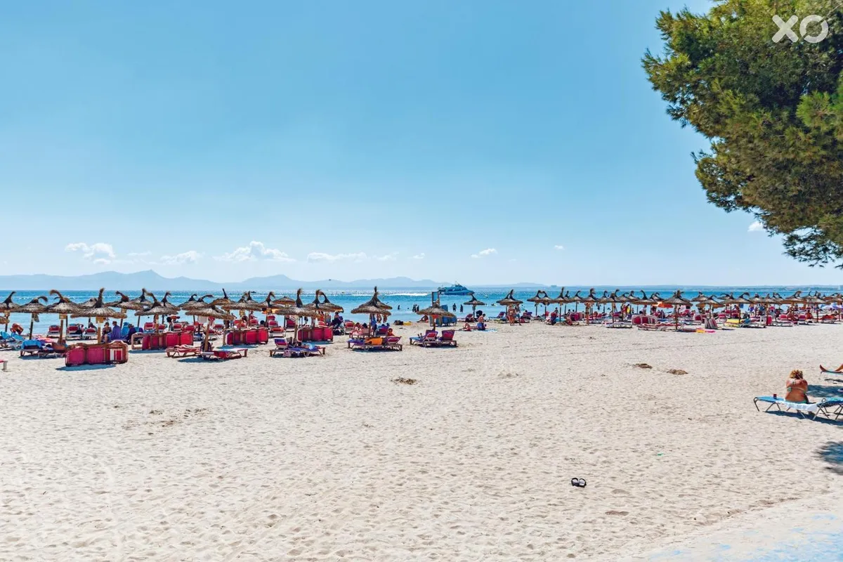 Ferrer Lime Playa de Alcudia