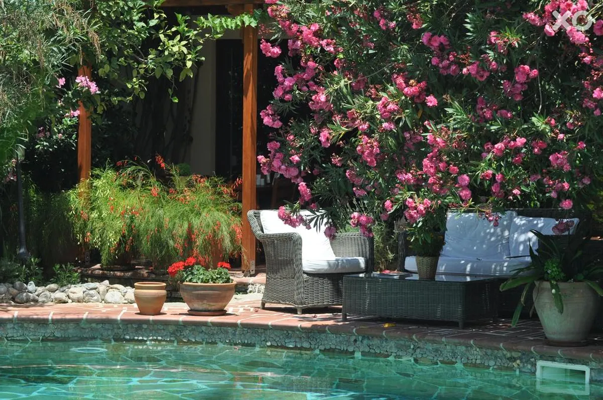 El Vino Hotel & Suites