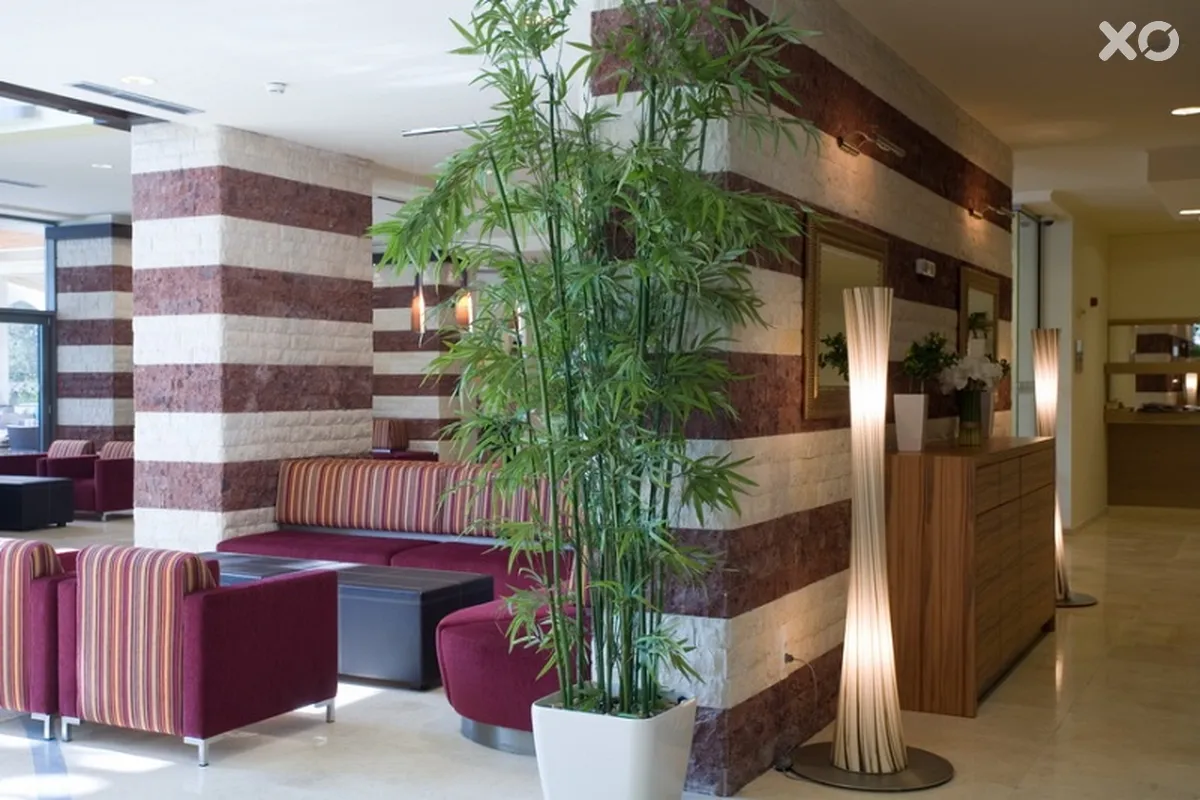 Flamingo Grand Hotel & Spa