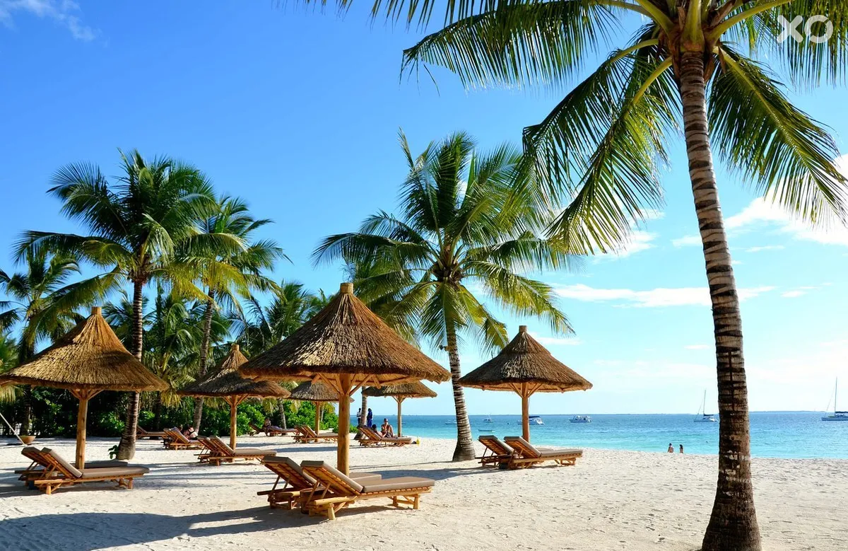 Zuri Zanzibar