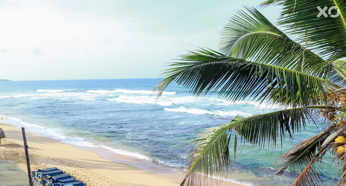 Polina Beach Resort (Hansa Surf)