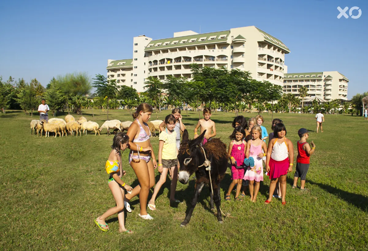 Amelia Beach Resort Hotel & Spa