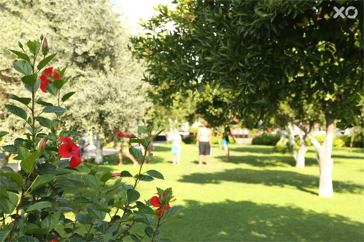 Viking Garden Hotel