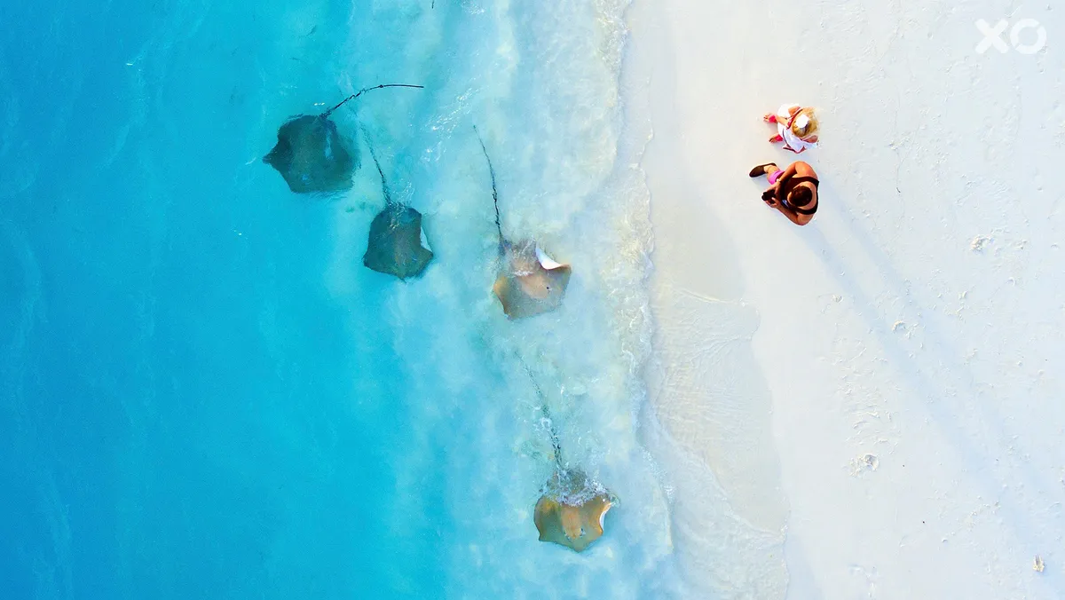 Villa Park Sun Island Resort