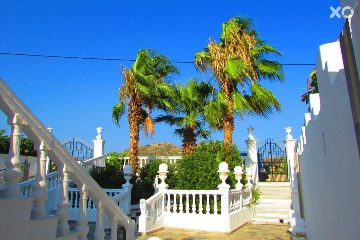 Castellino Studios