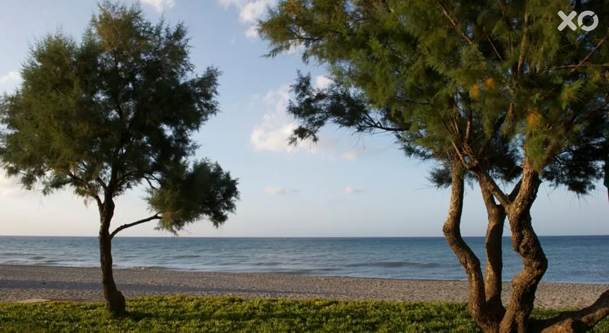Silver Beach