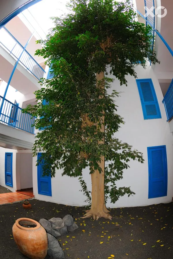 Costa Volcan & Spa Aparthotel