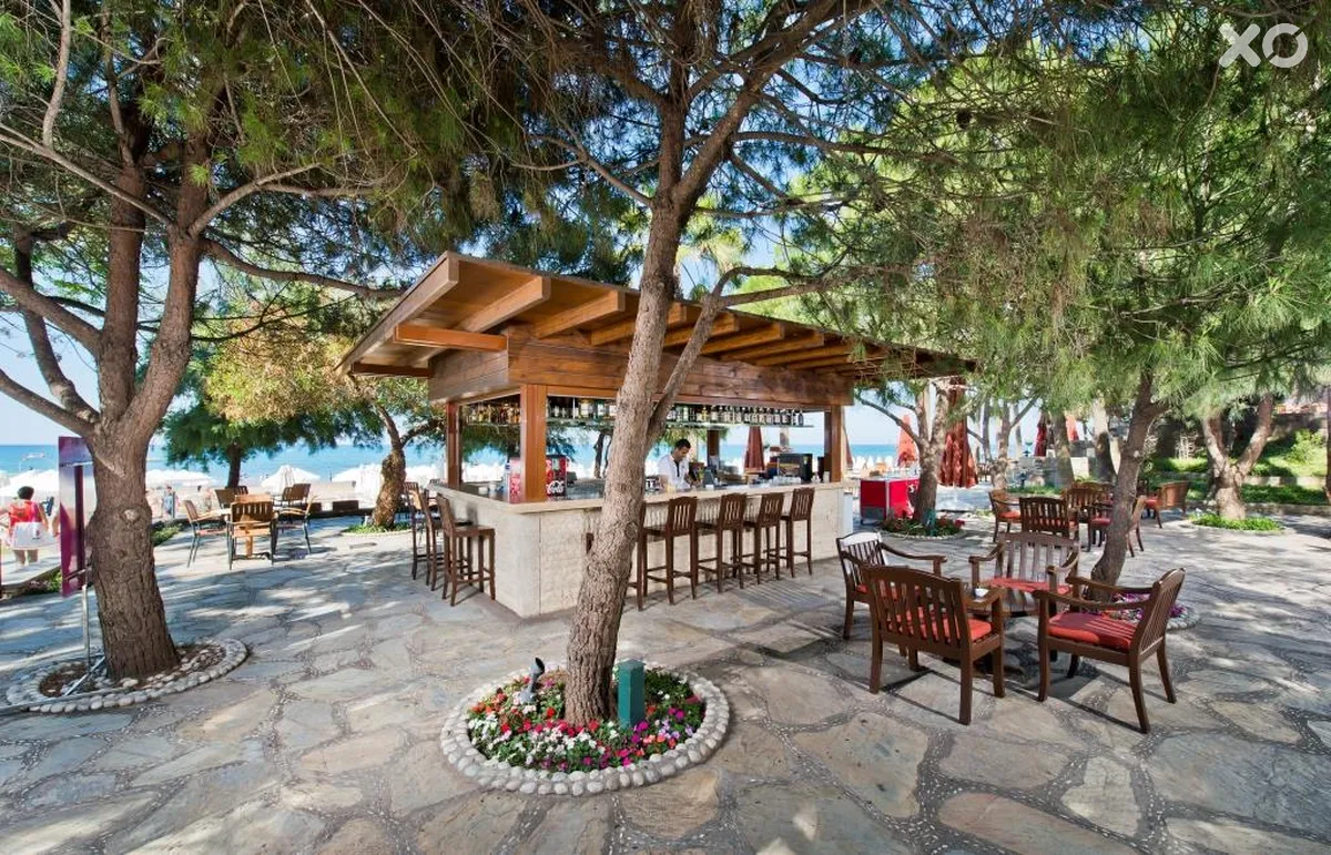 Barut Arum