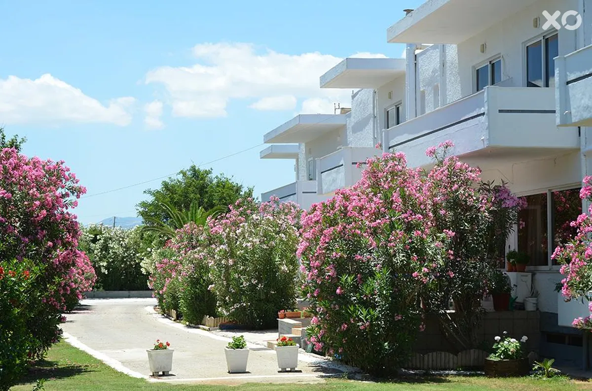 Arion Hotel