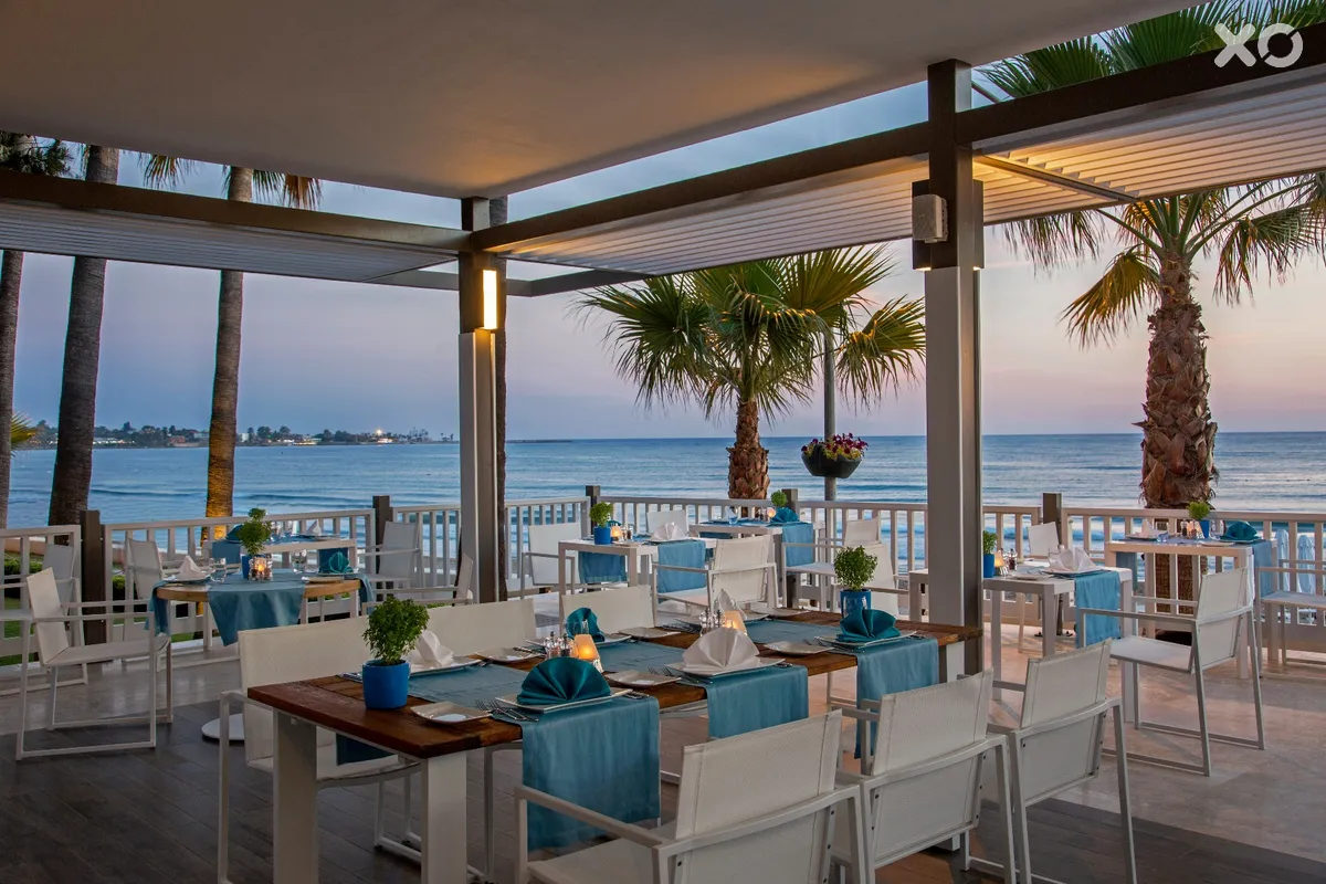 Acanthus Cennet Barut Collection