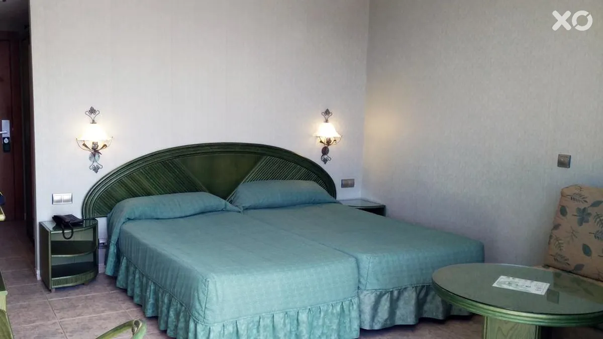Kaktus Albir
