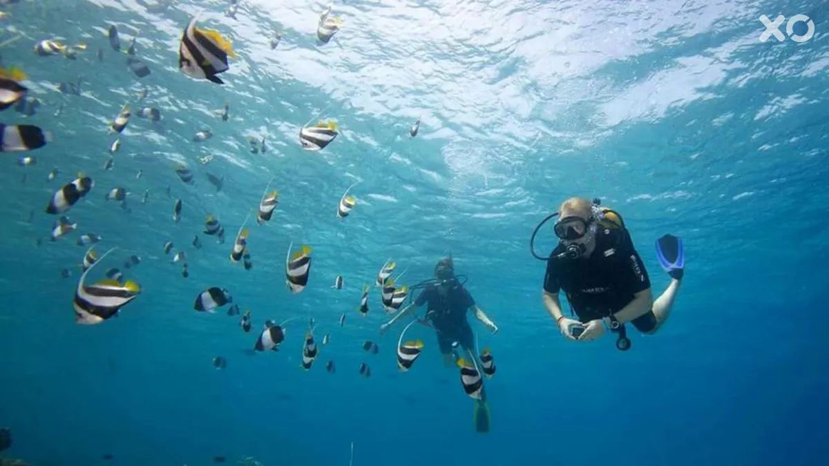 Batuta Maldives Surf View