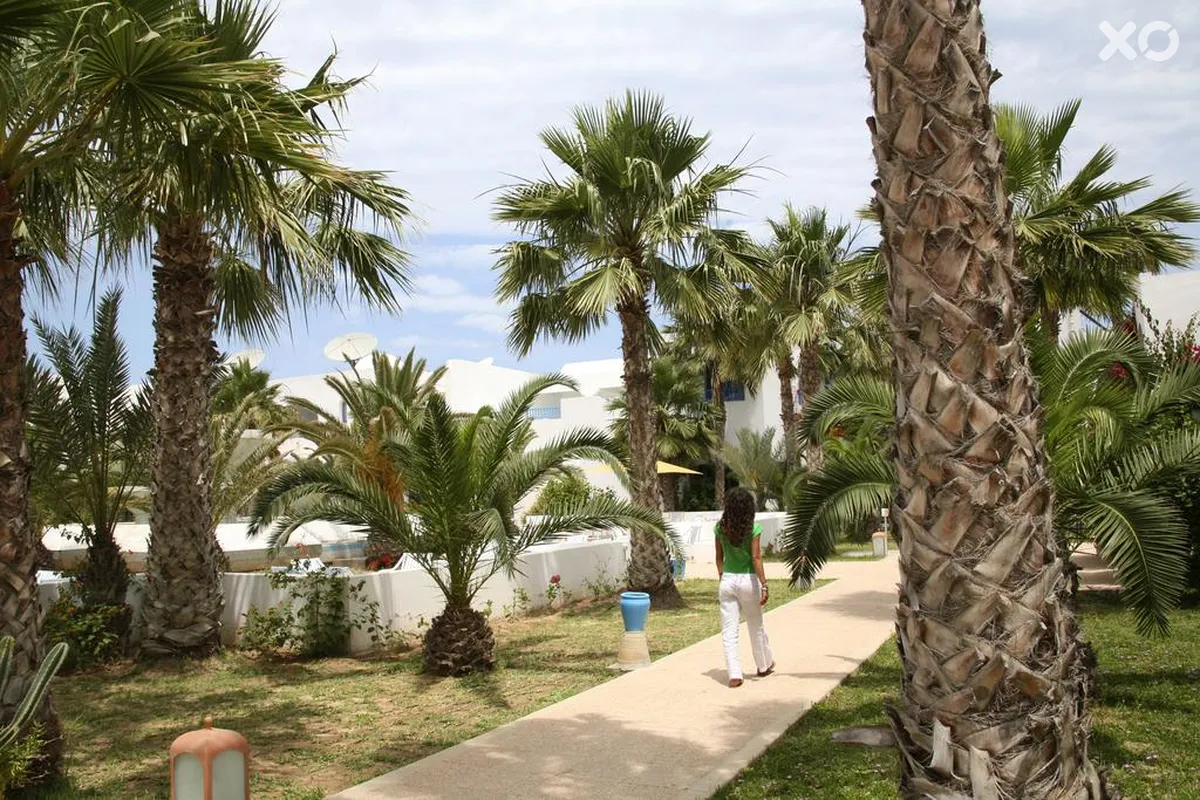 Dar Jerba Zahra