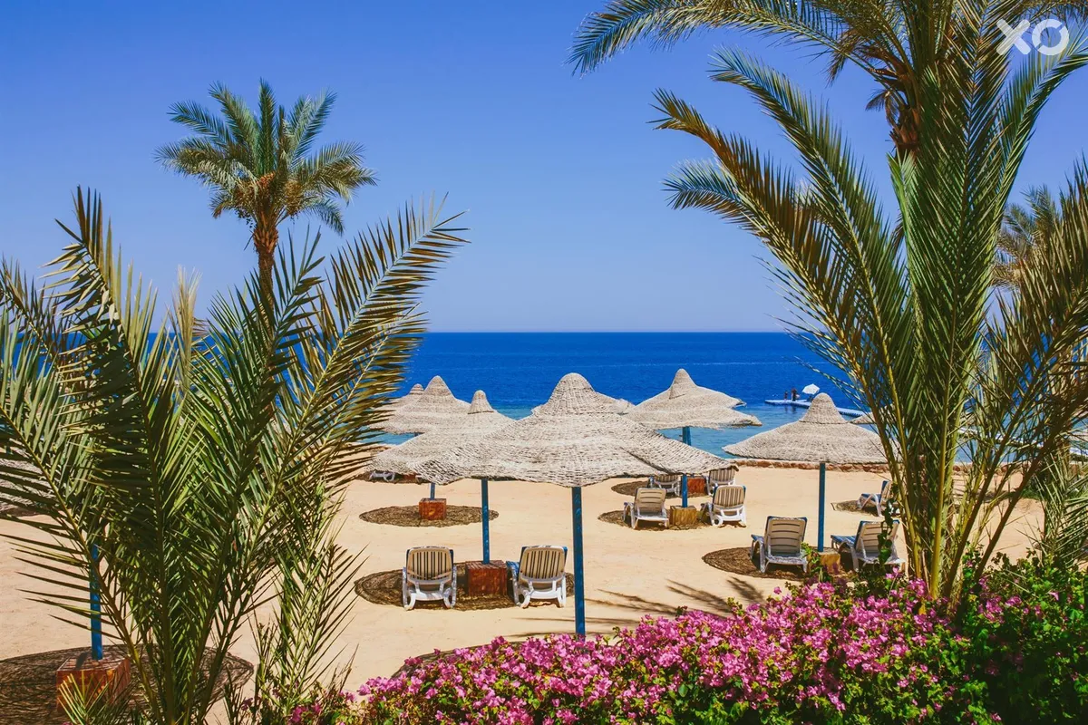 Queen Sharm Resort