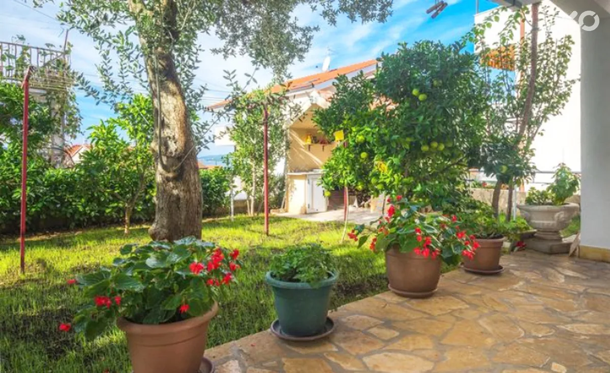Cvita Villa